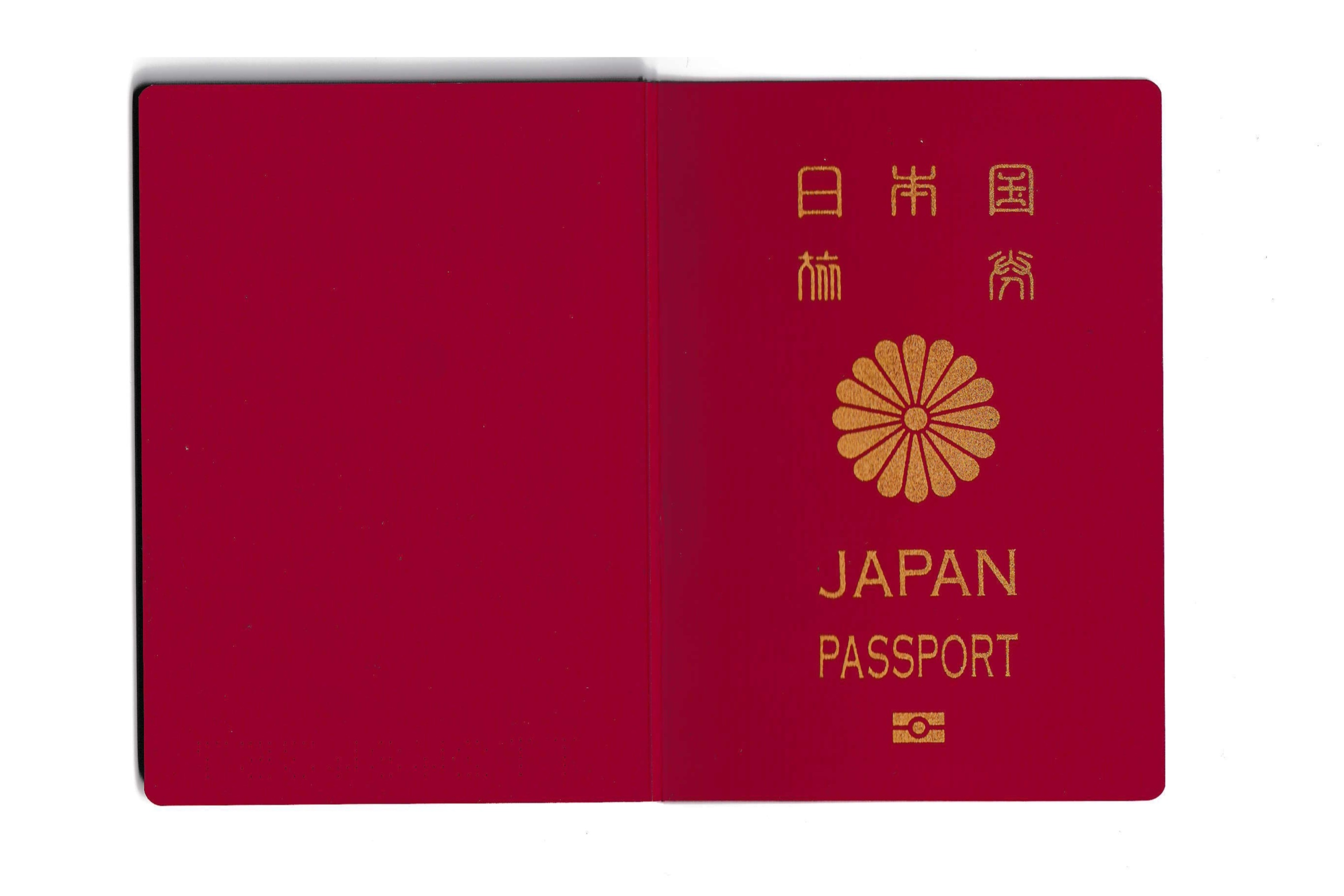 Passport cover scan example